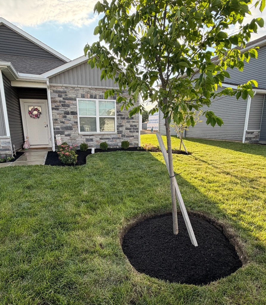 A New-Build Yard, Done From the Soil Up detail
